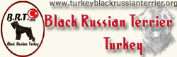 Black Russian Terrier Turkey